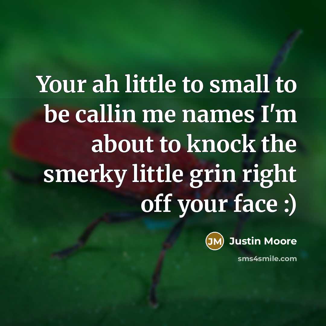 “Your ah little to small to be callin me names I'm about to knock the smerky little grin right off your face :)” quote by Justin Moore