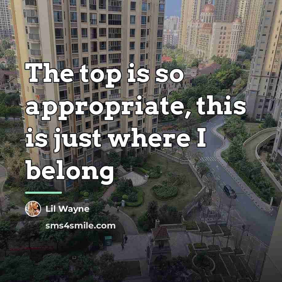 “The top is so appropriate, this is just where I…” quote by Lil Wayne