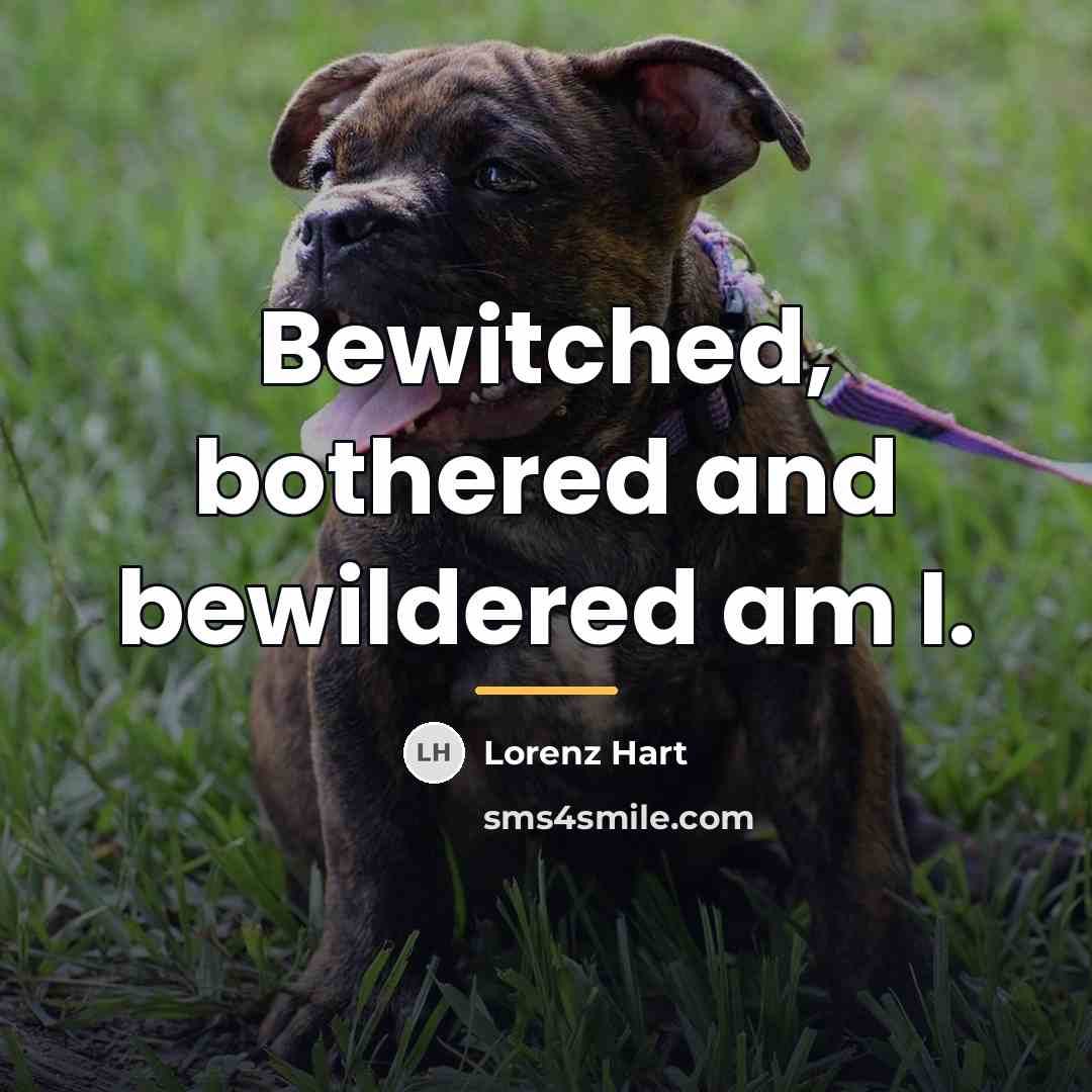 “Bewitched, bothered and bewildered am I.…” quote by Lorenz Hart