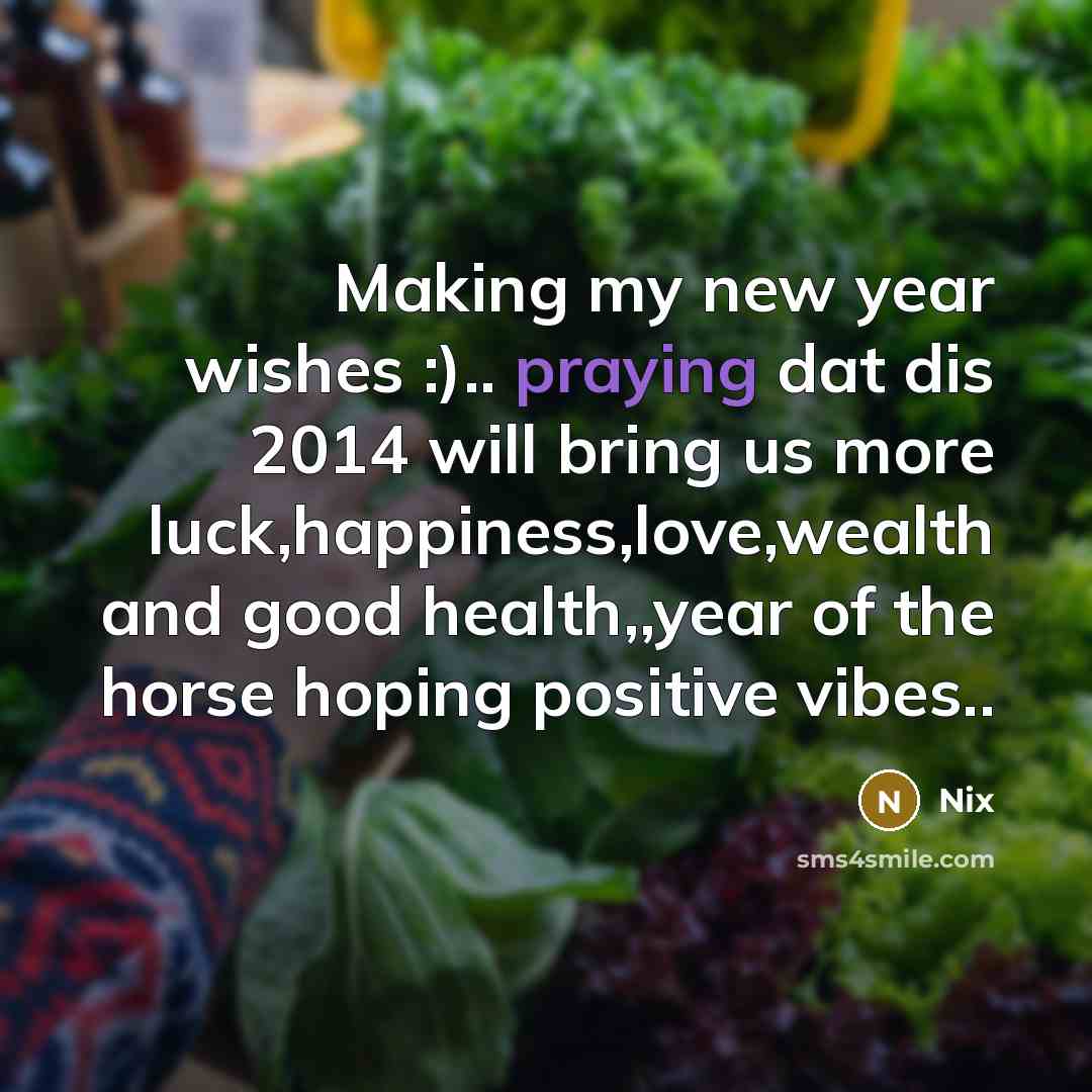 “Making my new year wishes :).. praying dat dis 2014 will bring us more luck,happiness,love,wealth and good health,,year of the horse hoping positive vibes..” quote by Nix