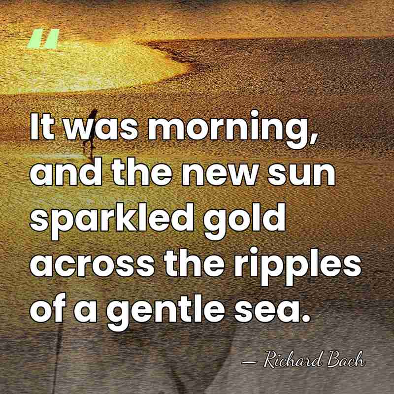It was morning, and the new sun sparkled gold across the ripples&hellip; - Richard Bach