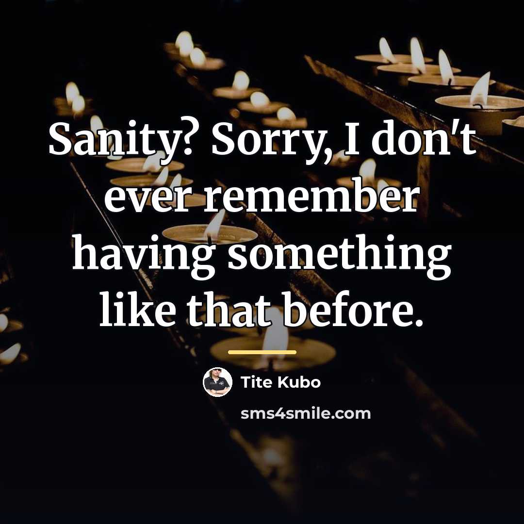 “Sanity? Sorry, I don't ever remember having something like that…” quote by Tite Kubo