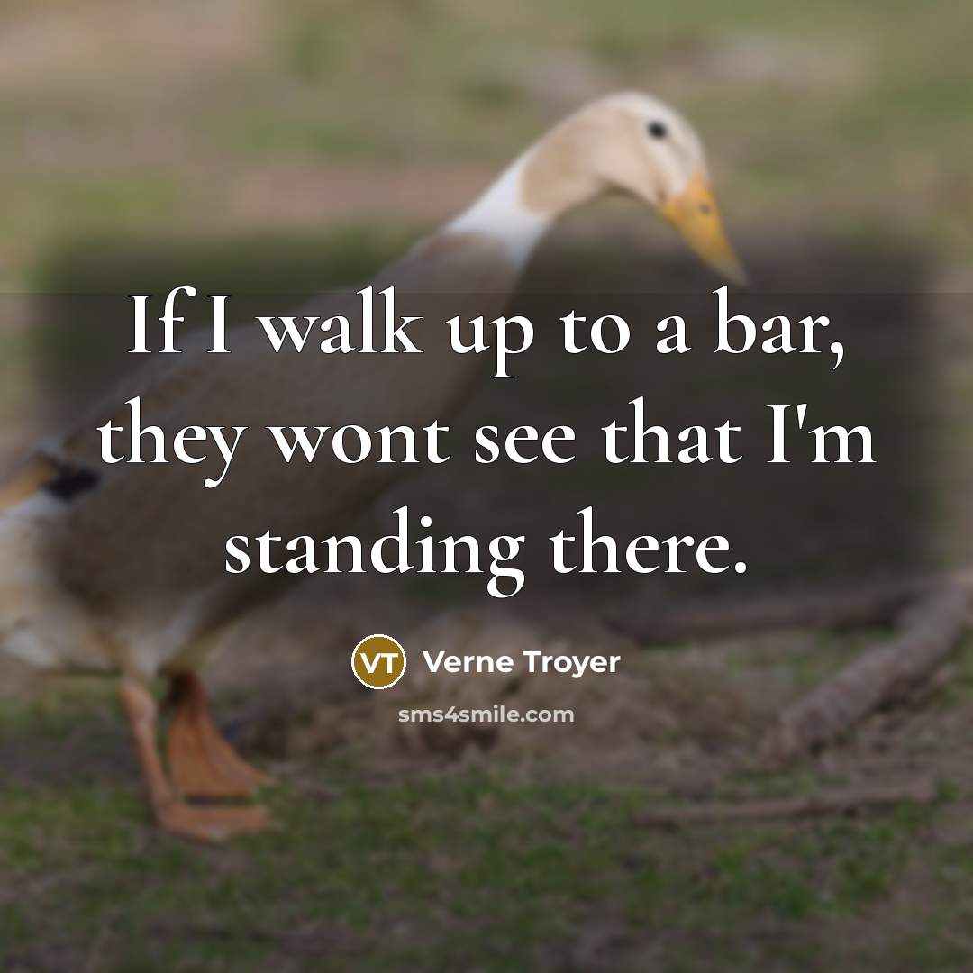 “If I walk up to a bar, they wont see…” quote by Verne Troyer