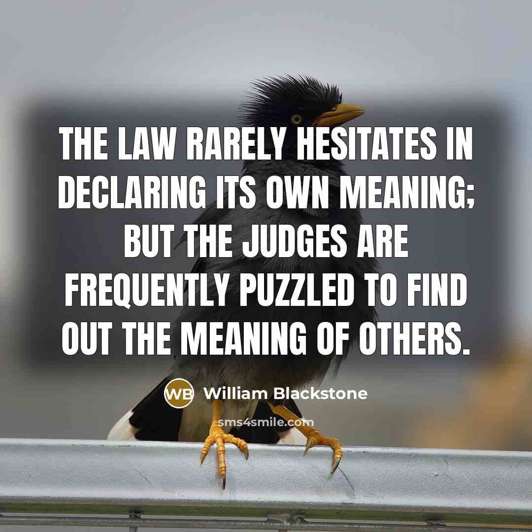 “The law rarely hesitates in declaring its own meaning; but the Judges are frequently puzzled to find out the meaning of others.” quote by William Blackstone