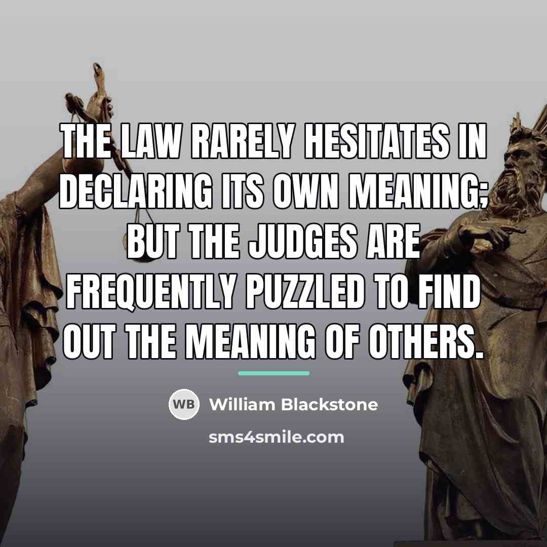 “The law rarely hesitates in declaring its own meaning; but…” quote by William Blackstone