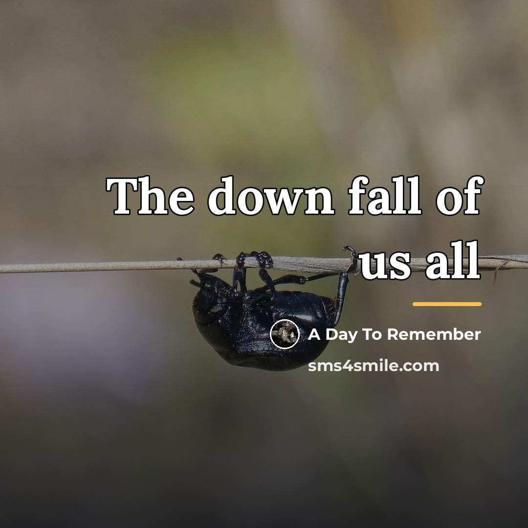 “The down fall of us all…” quote by A Day To Remember