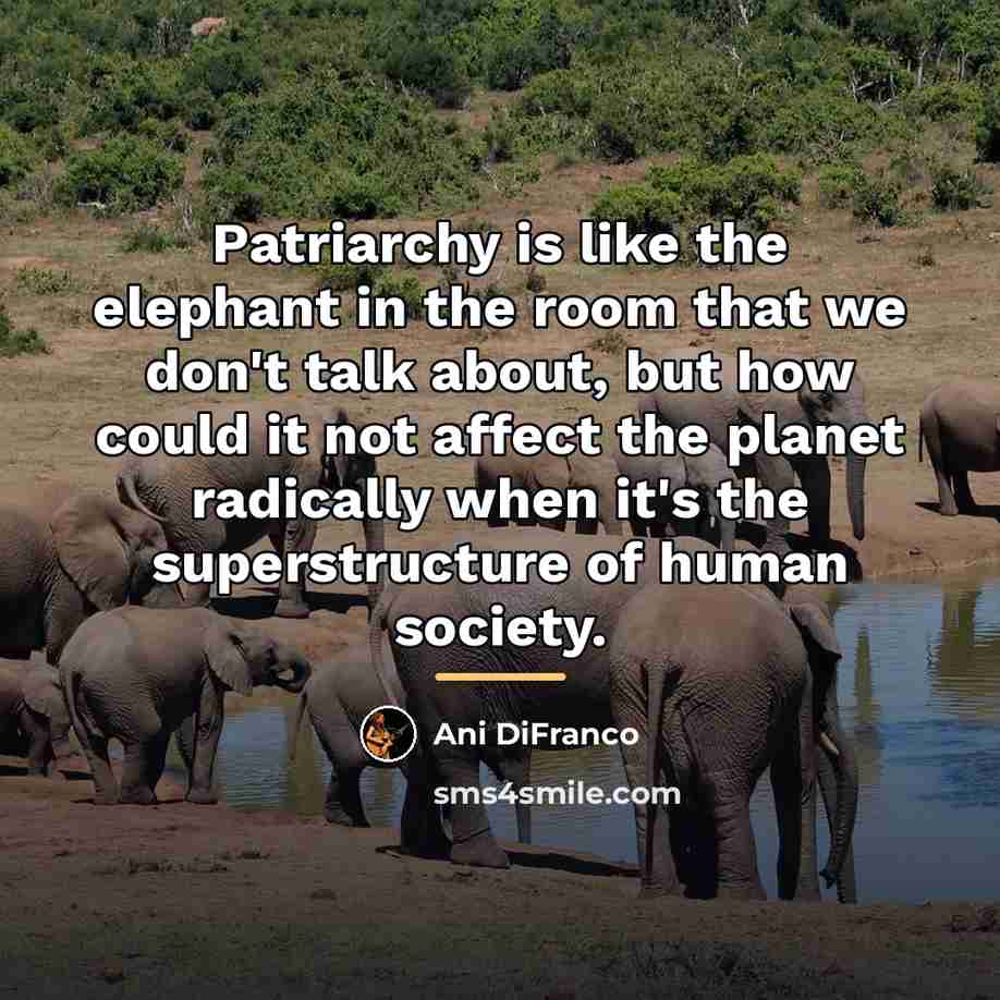 “Patriarchy is like the elephant in the room that we…” quote by Ani DiFranco