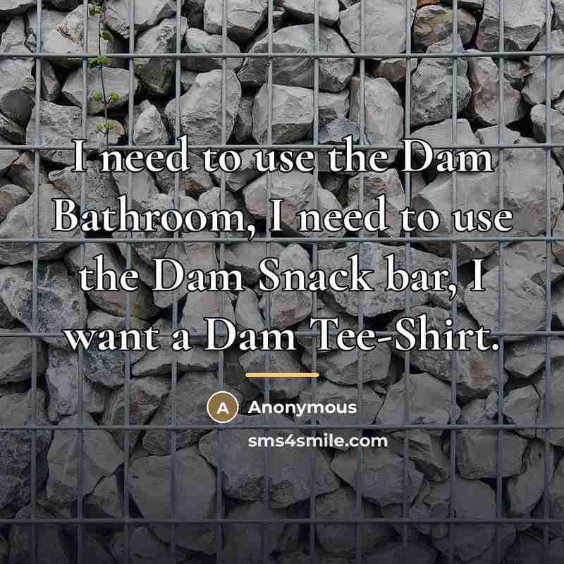 “I need to use the Dam Bathroom, I need to…” quote by Anonymous