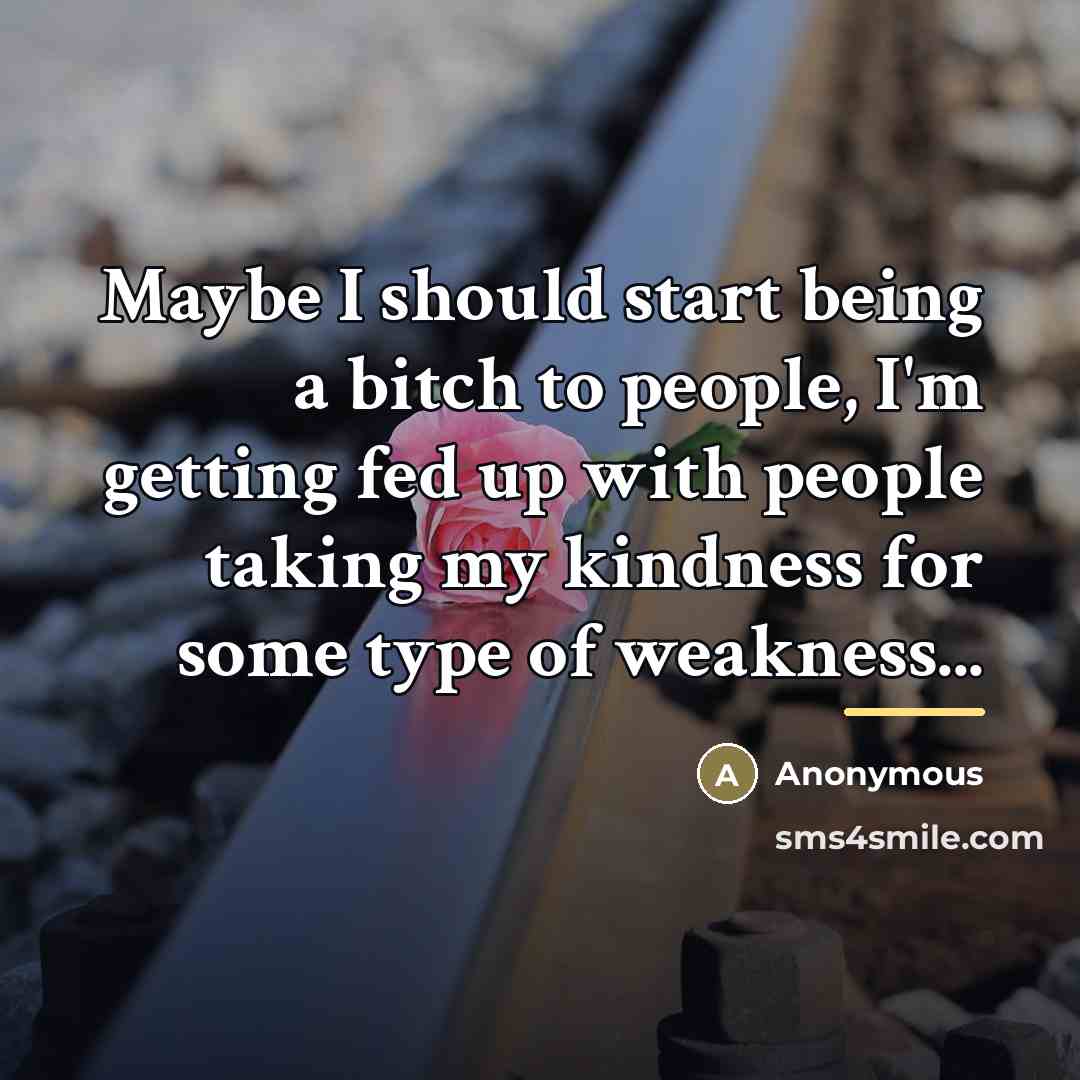 “Maybe I should start being a bitch to people, I'm…” quote by Anonymous