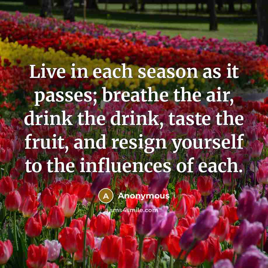 “Live in each season as it passes; breathe the air, drink the drink, taste the fruit, and resign yourself to the influences of each.” quote by Anonymous