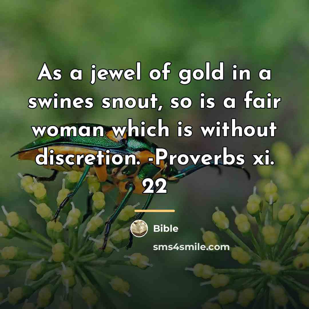 “As a jewel of gold in a swines snout, so…” quote by Bible