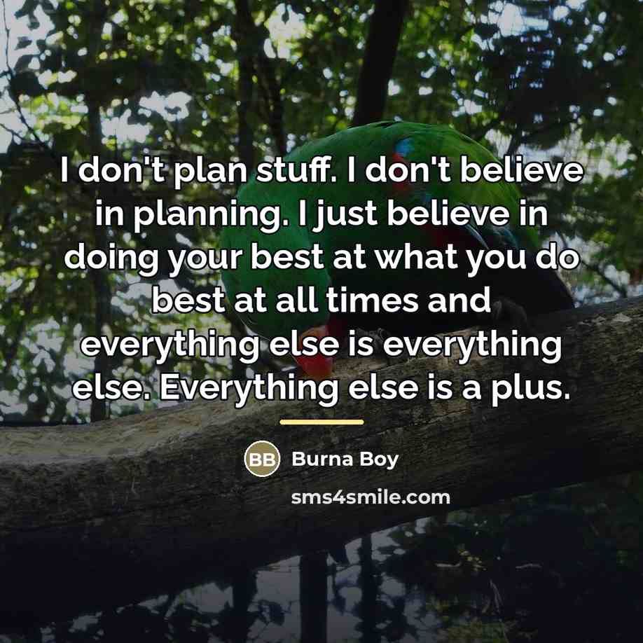 “I don't plan stuff. I don't believe in planning. I…” quote by Burna Boy