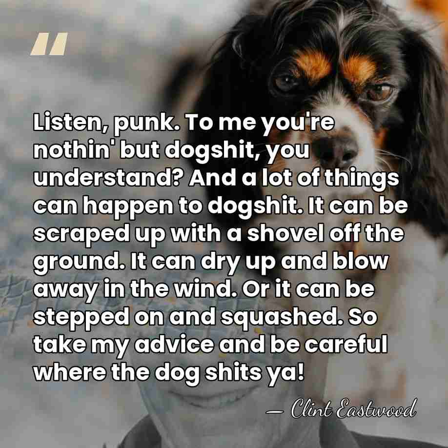 Listen, punk. To me you're nothin' but dogshit, you understand? And a&hellip; - Clint Eastwood