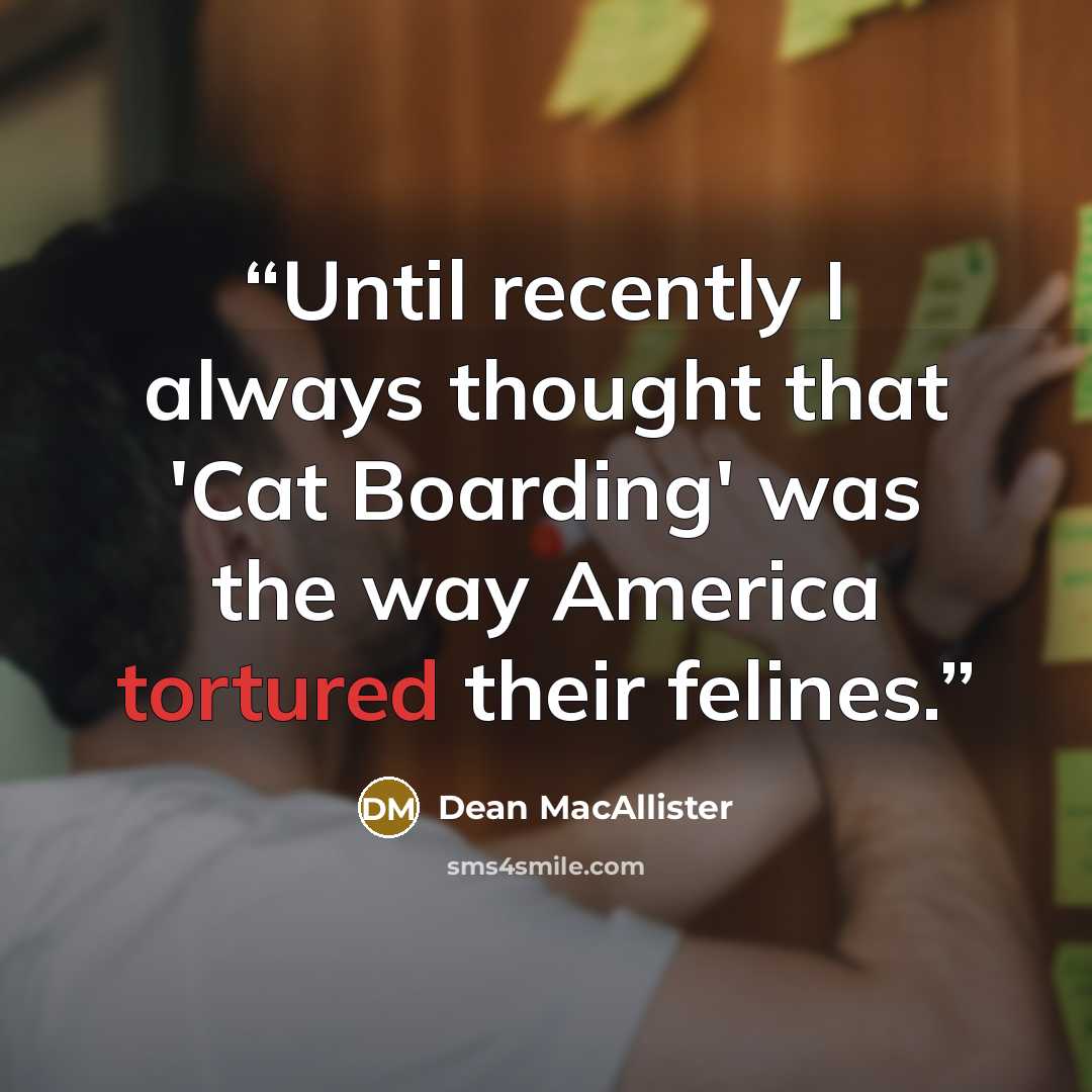 “Until recently I always thought that 'Cat Boarding' was the way America tortured their felines.” quote by Dean MacAllister