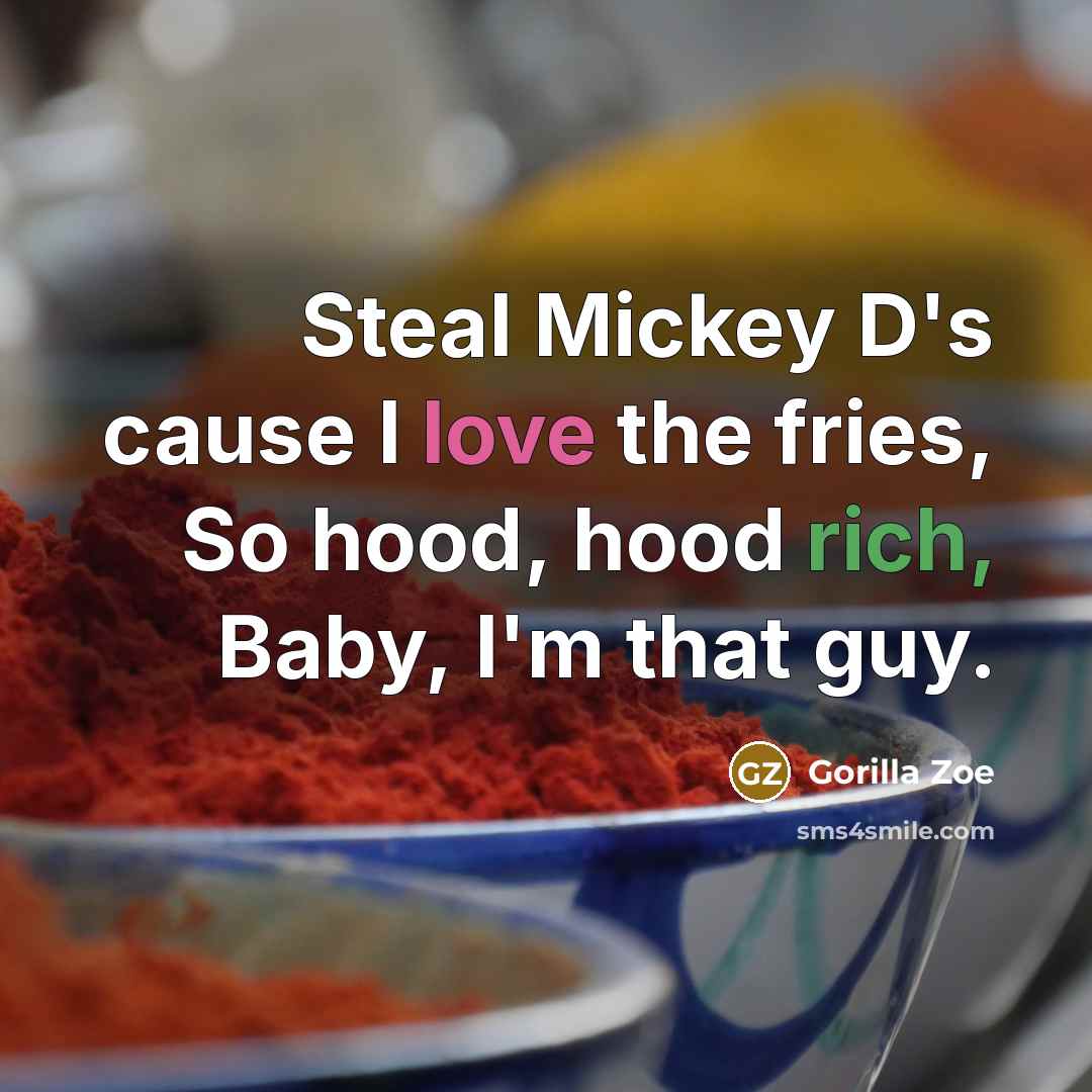 “Steal Mickey D's cause I love the fries, So hood, hood rich, Baby, I'm that guy.” quote by Gorilla Zoe