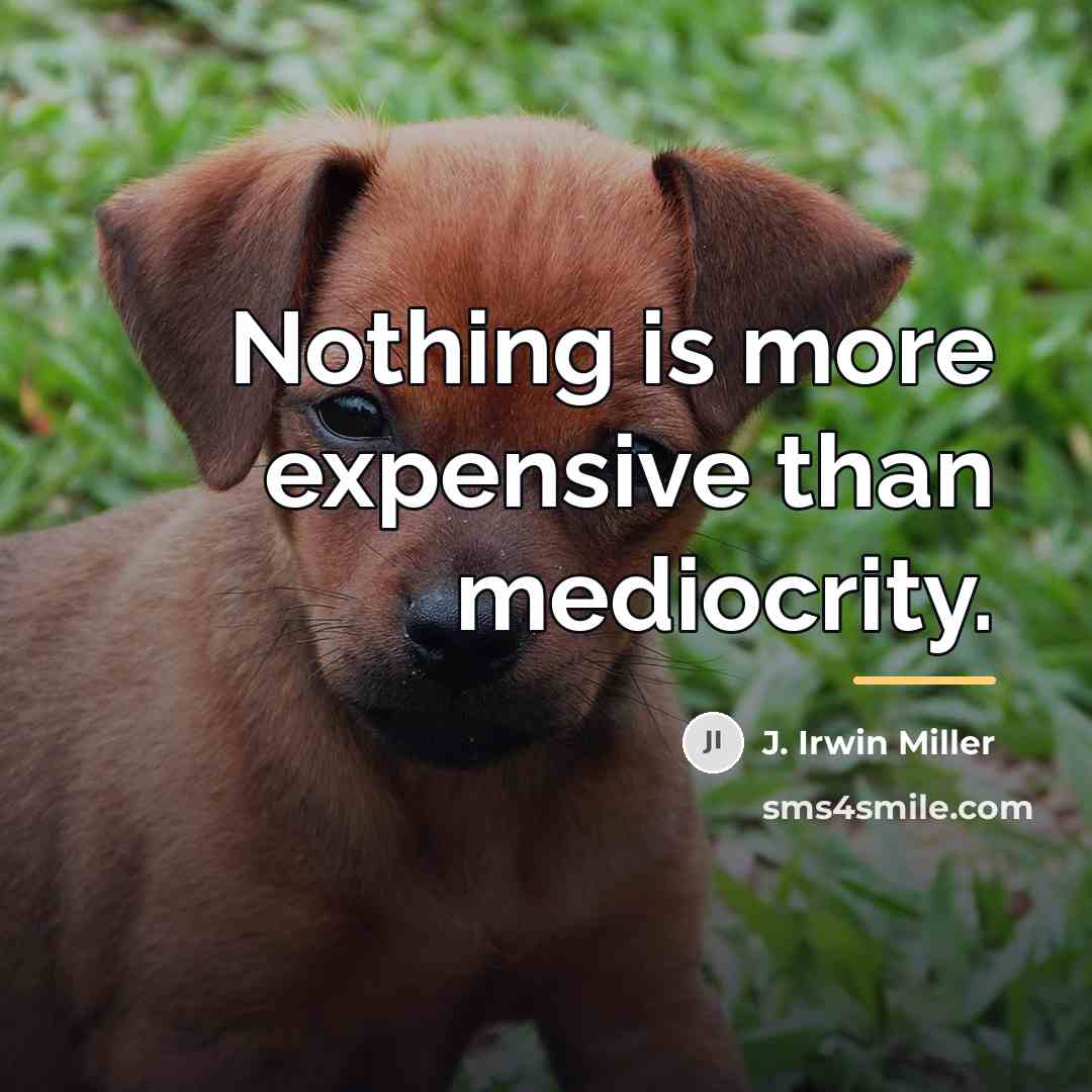 “Nothing is more expensive than mediocrity.…” quote by J. Irwin Miller