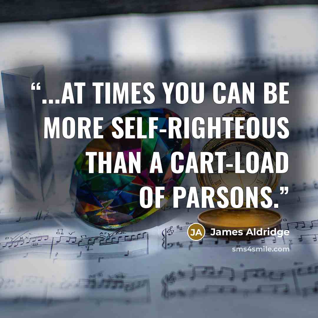 “...at times you can be more self-righteous than a cart-load of parsons.” quote by James Aldridge