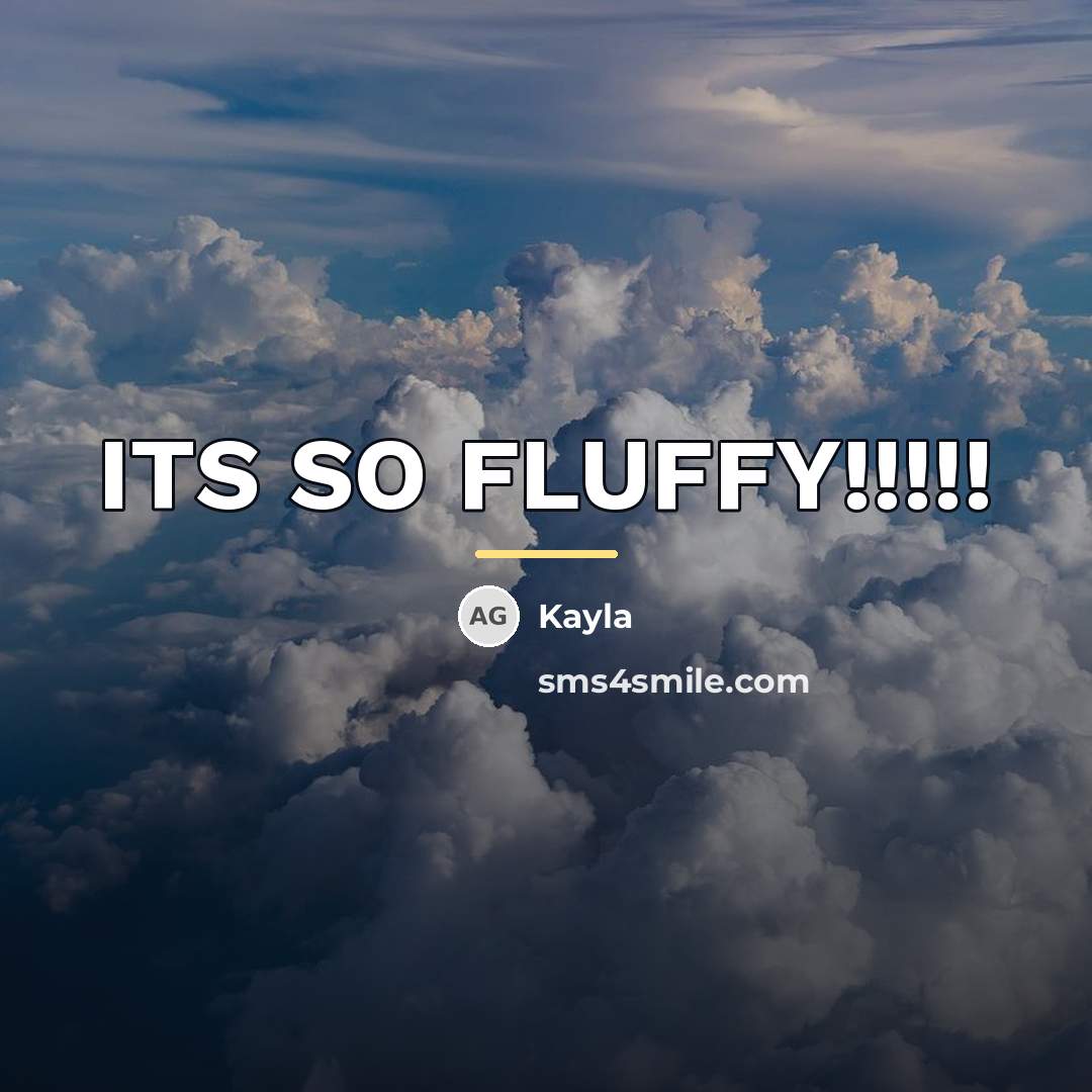 “ITS SO FLUFFY!!!!!…” quote by Kayla