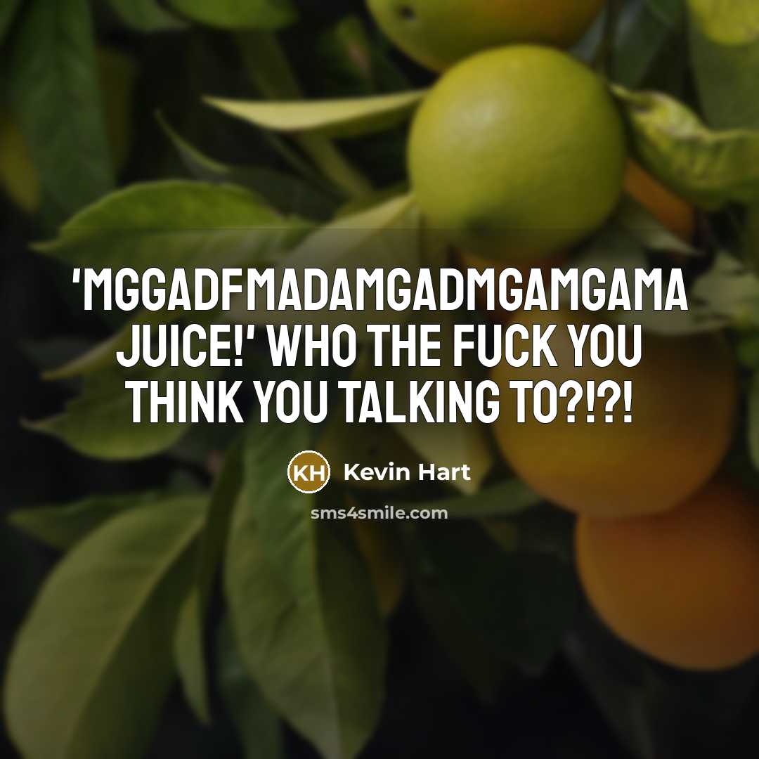 “'Mggadfmadamgadmgamgama juice!' Who the fuck you think you talking to?!?!…” quote by Kevin Hart