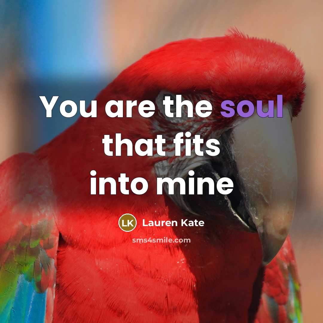 “You are the soul that fits into mine…” quote by Lauren Kate
