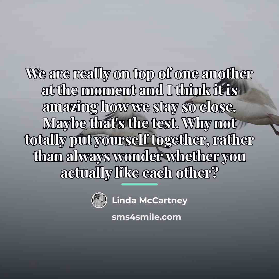 “We are really on top of one another at the…” quote by Linda McCartney