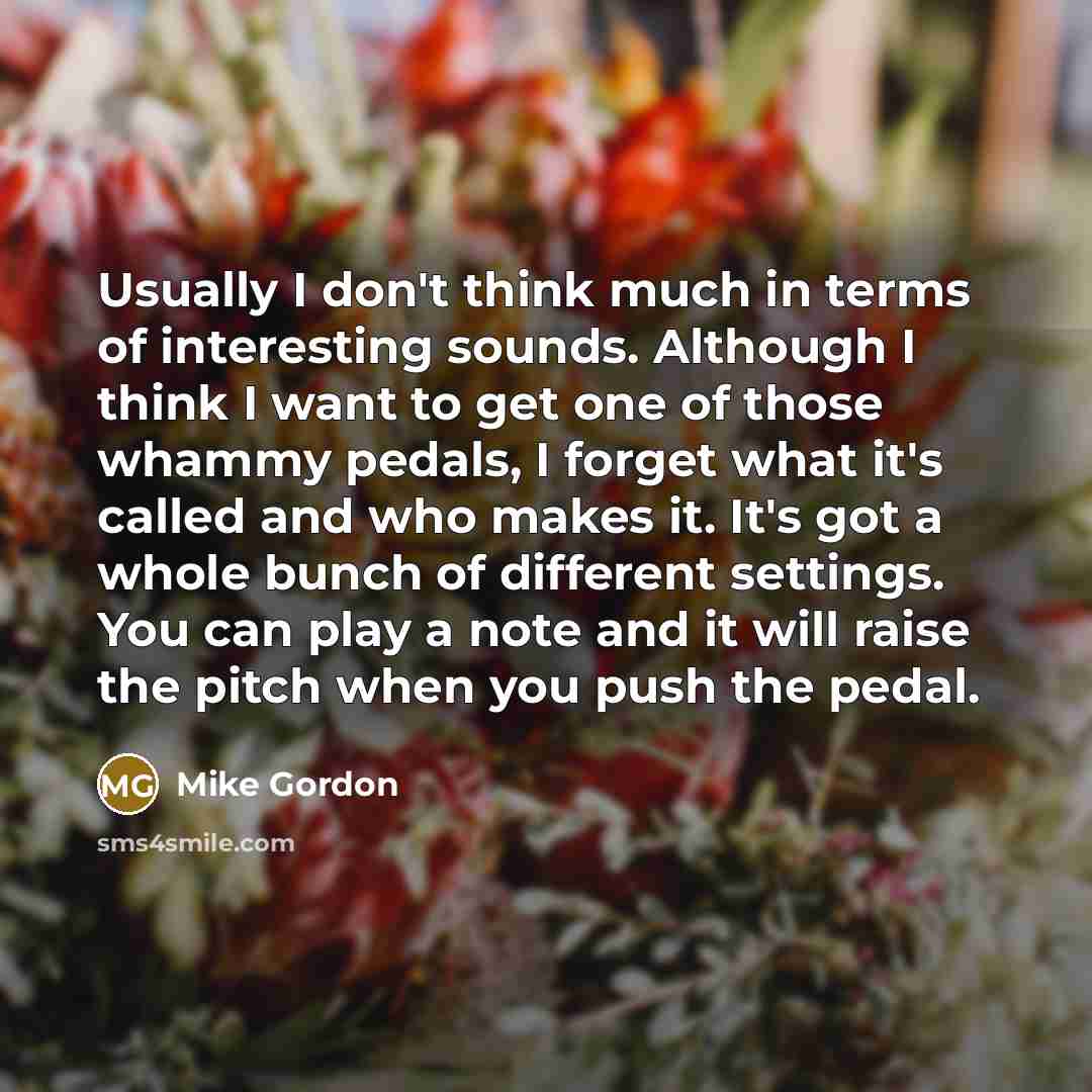“Usually I don't think much in terms of interesting sounds.…” quote by Mike Gordon
