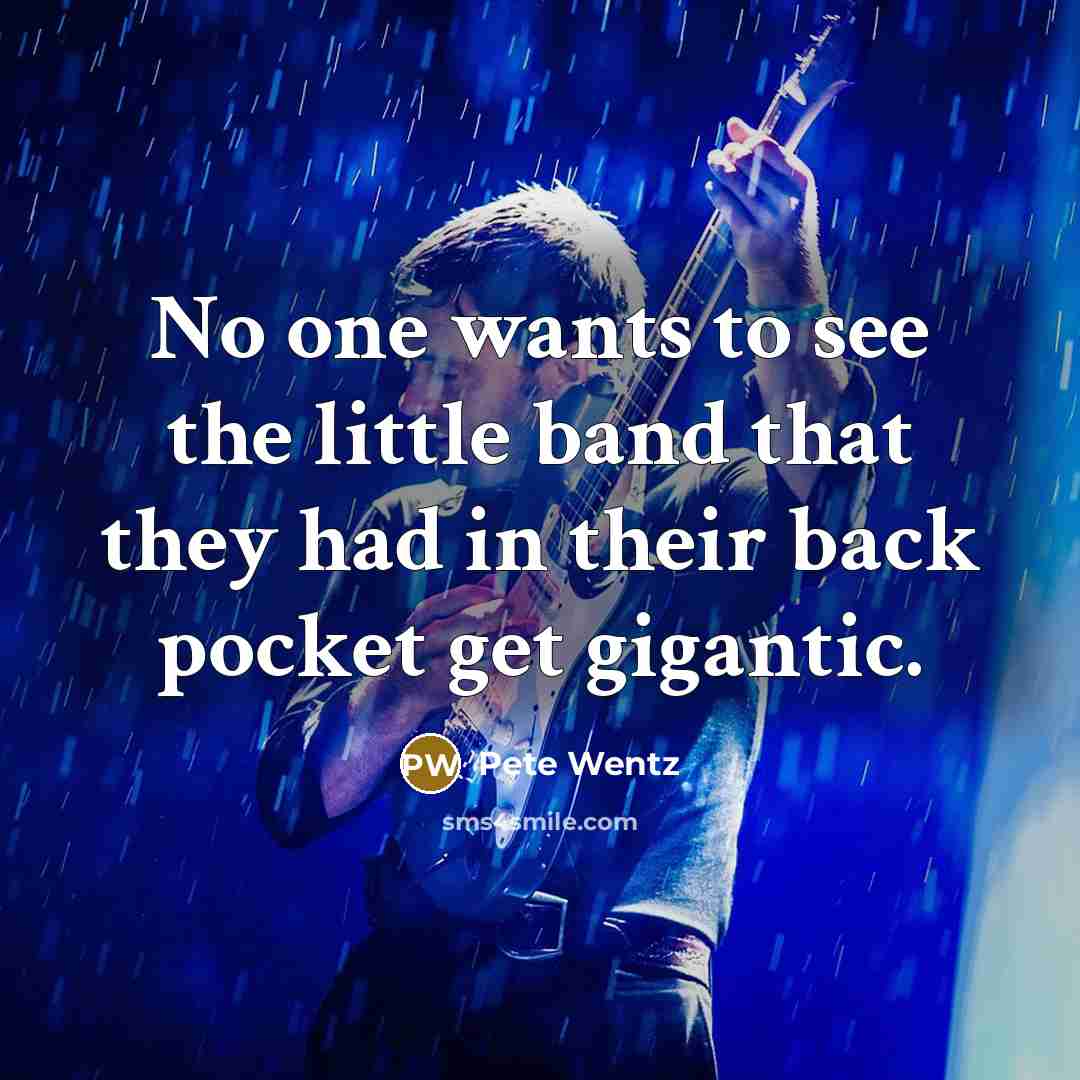 “No one wants to see the little band that they had in their back pocket get gigantic.” quote by Pete Wentz