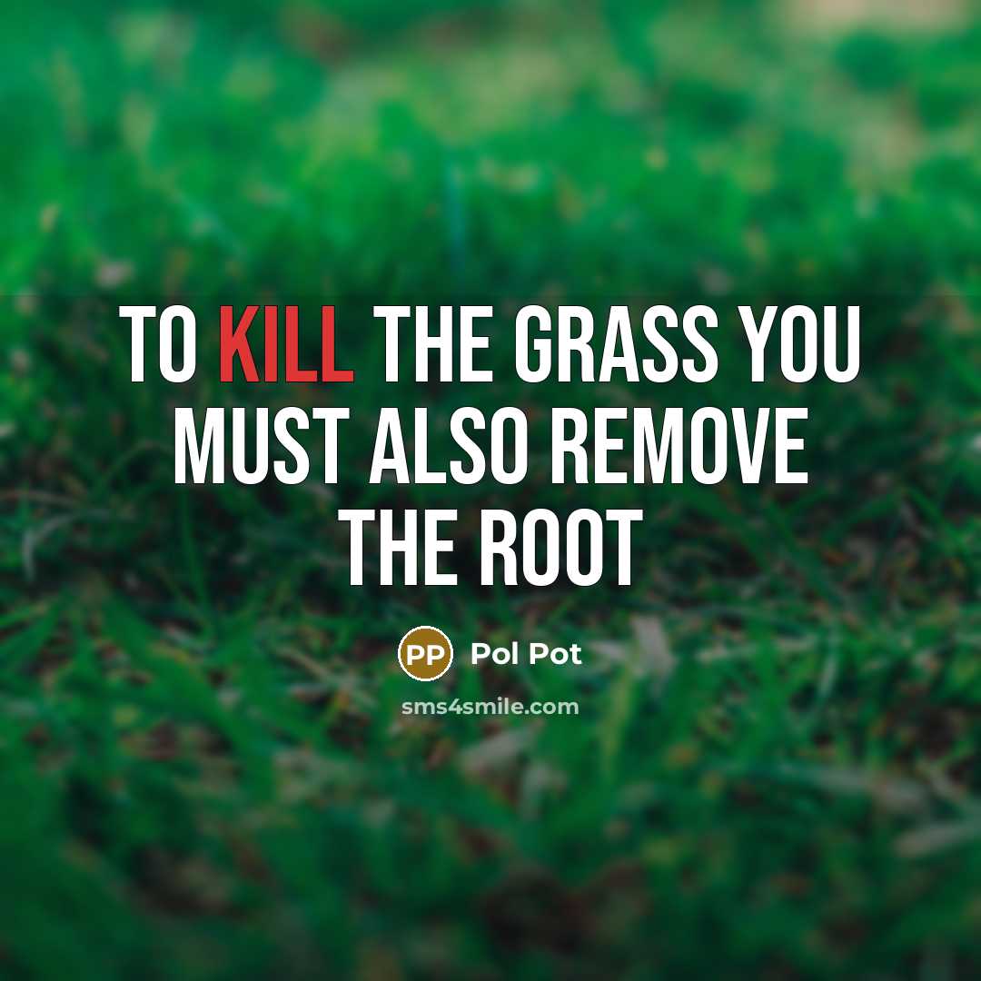 “To kill the grass you must also remove the root…” quote by Pol Pot
