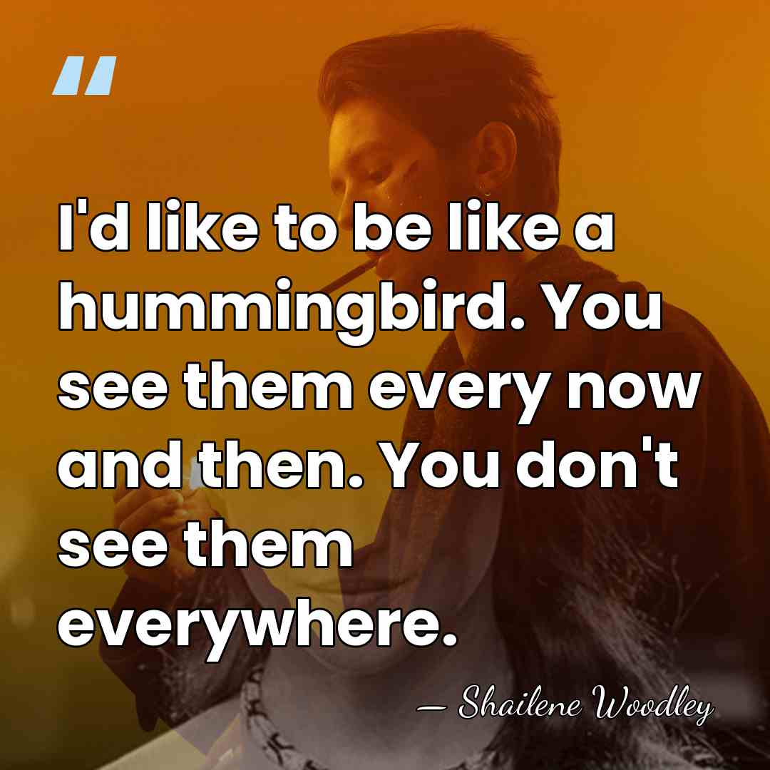I'd like to be like a hummingbird. You see them every now&hellip; - Shailene Woodley