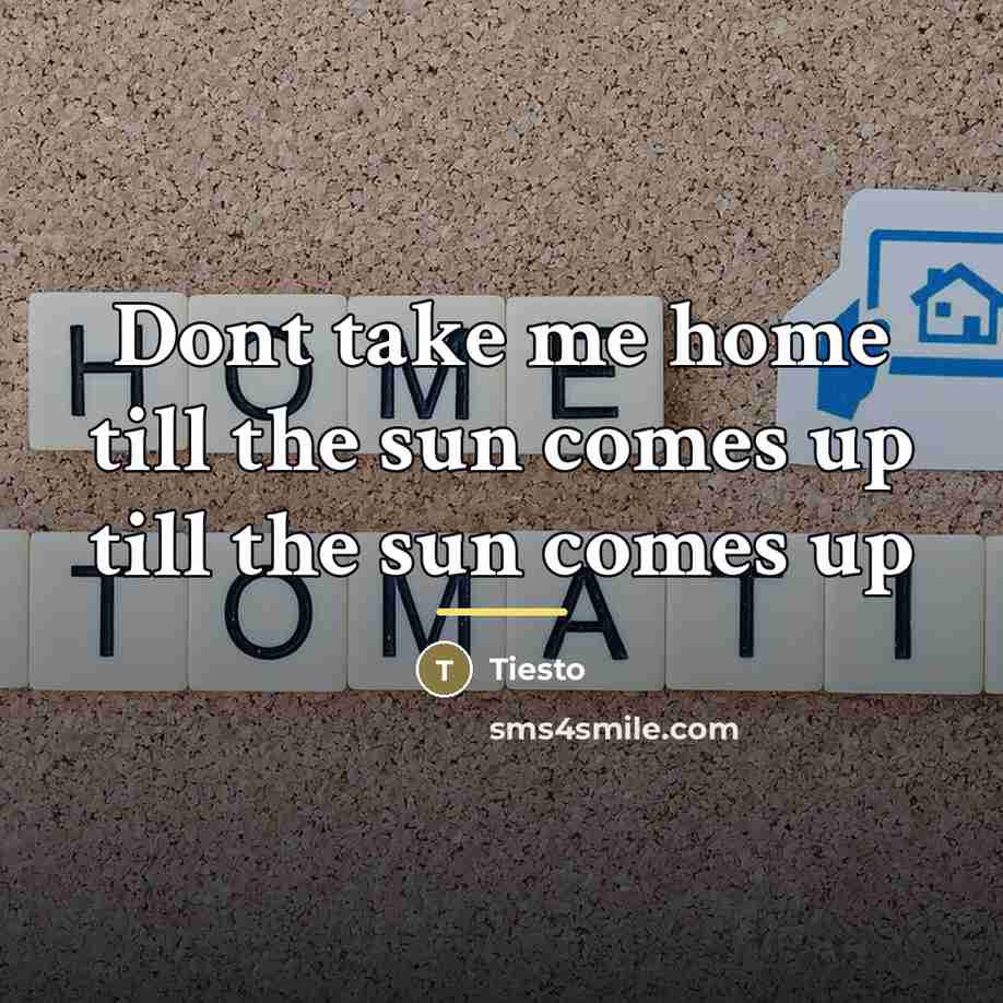 “Dont take me home till the sun comes up till…” quote by Tiesto