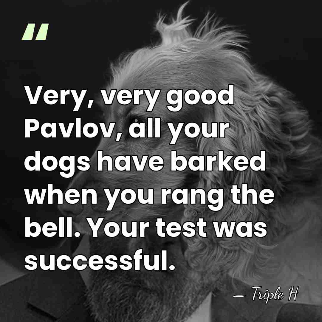 Very, very good Pavlov, all your dogs have barked when you rang&hellip; - Triple H