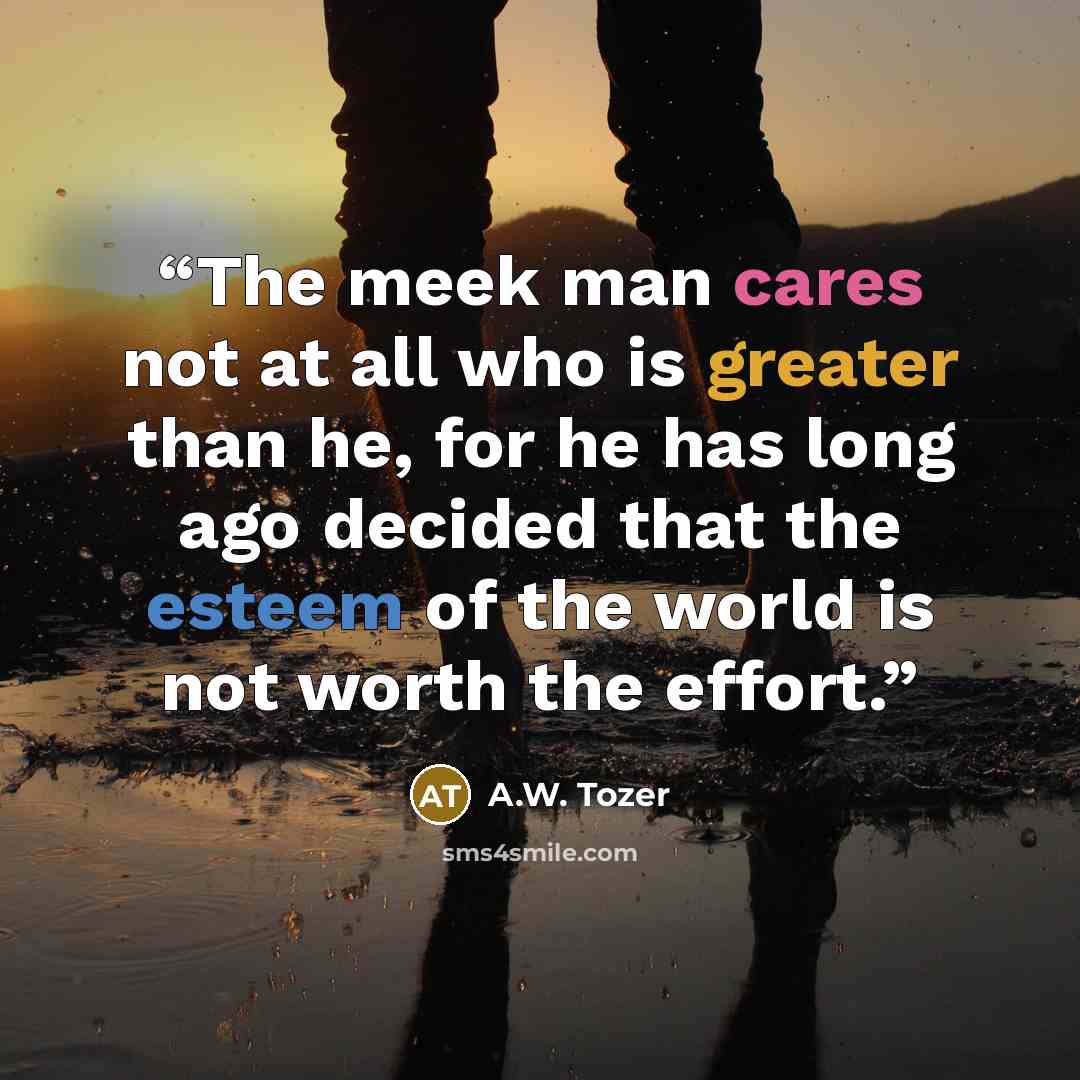 “The meek man cares not at all who is greater than he, for he has long ago decided that the esteem of the world is not worth the effort.” quote by A.W. Tozer