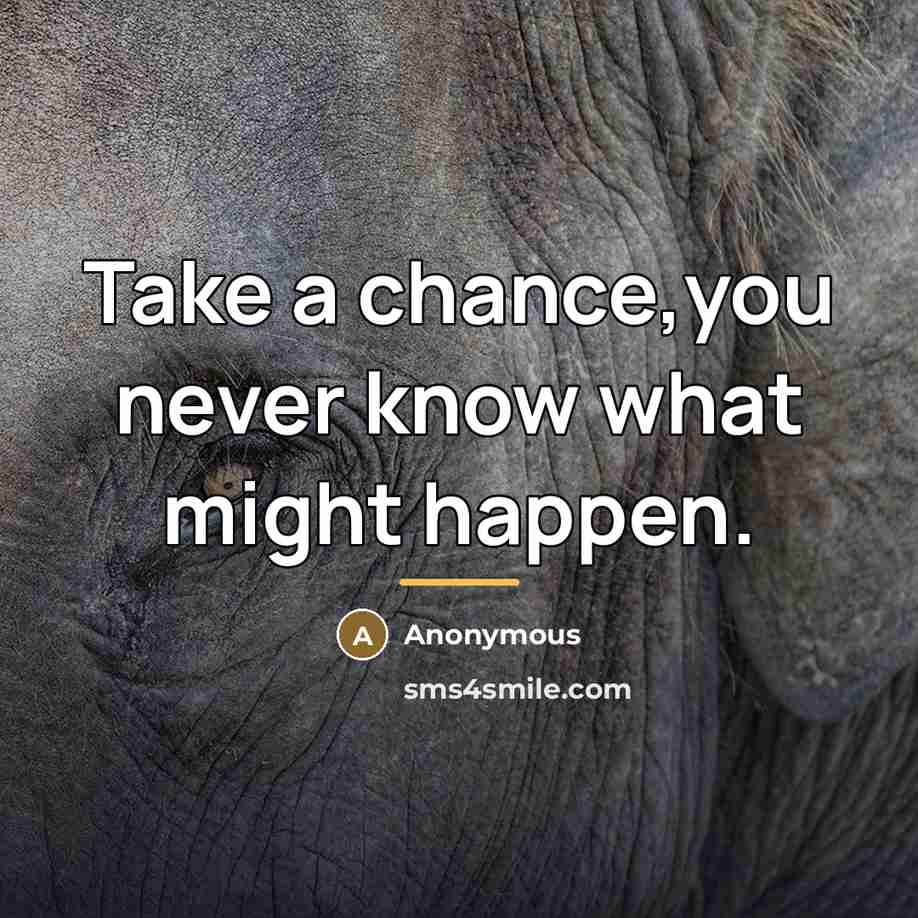 “Take a chance,you never know what might happen.…” quote by Anonymous