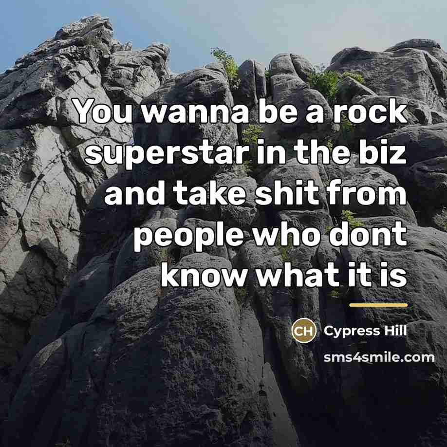 “You wanna be a rock superstar in the biz and…” quote by Cypress Hill