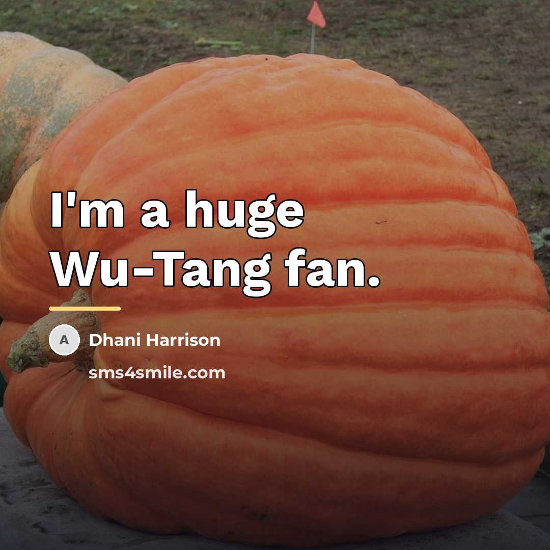 “I'm a huge Wu-Tang fan.…” quote by Dhani Harrison