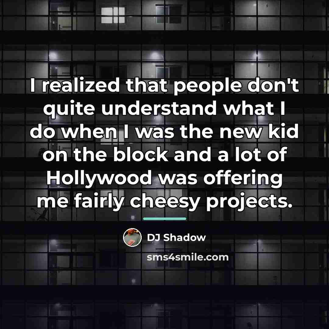 “I realized that people don't quite understand what I do…” quote by DJ Shadow