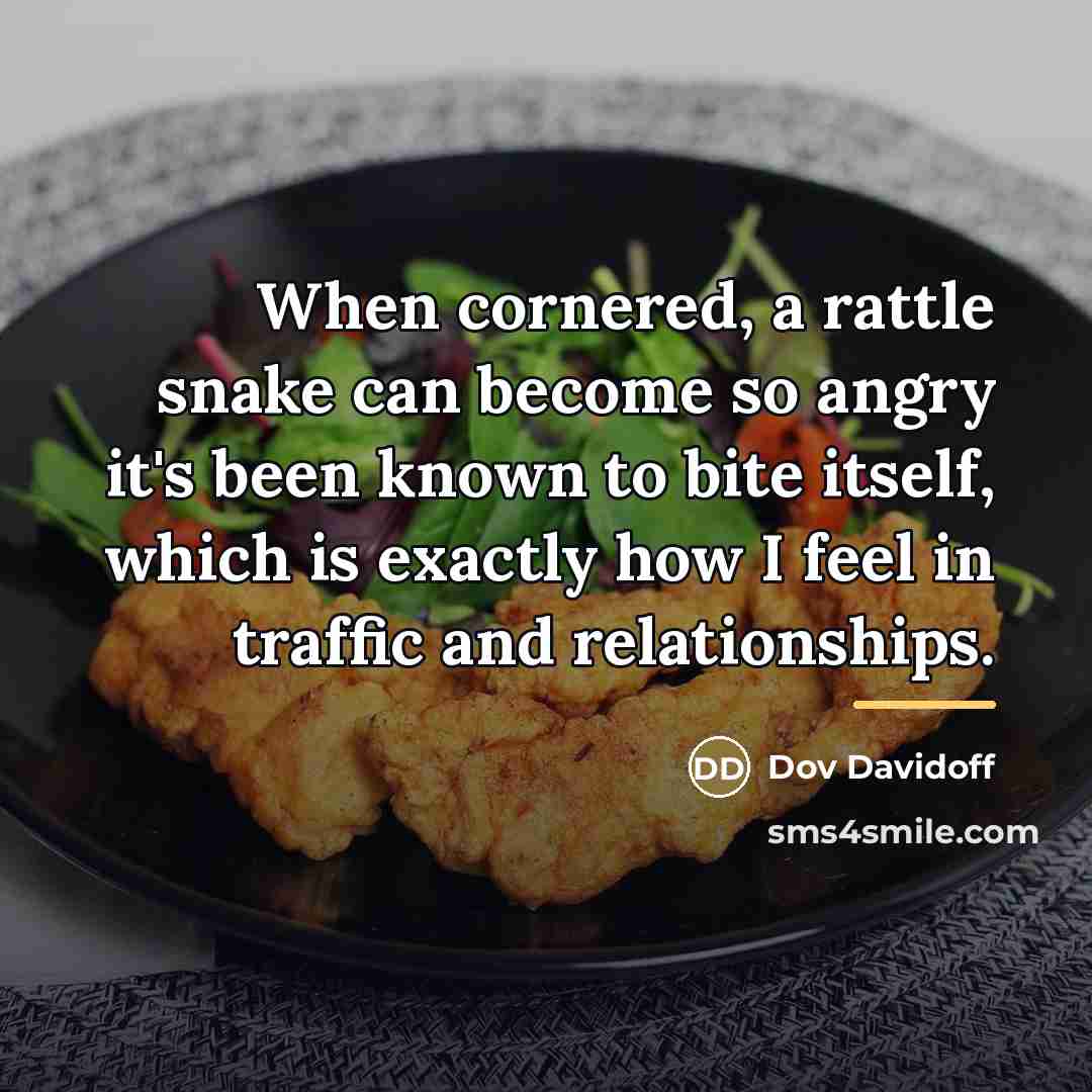 “When cornered, a rattle snake can become so angry it's…” quote by Dov Davidoff