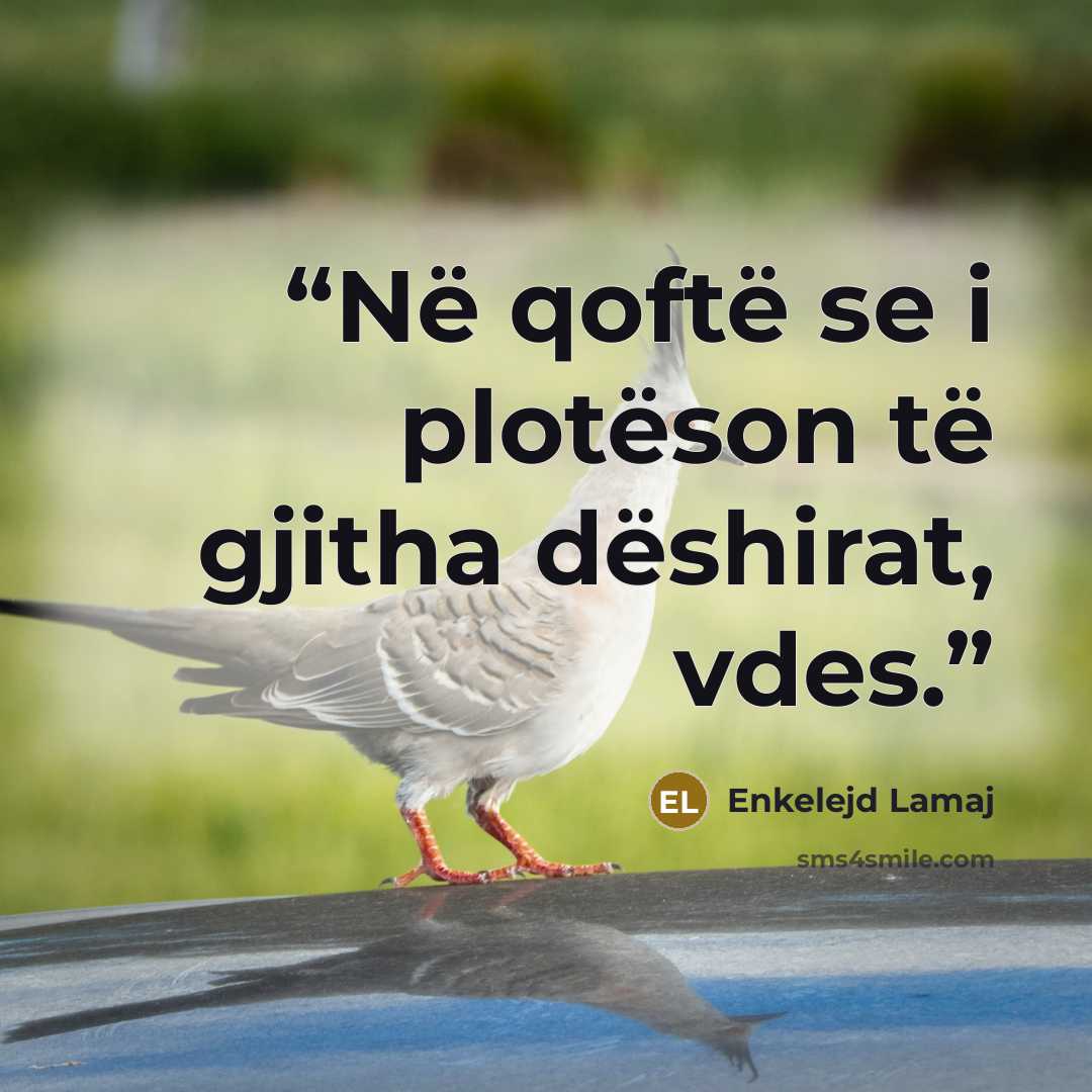“Në qoftë se i plotëson të gjitha dëshirat, vdes.” quote by Enkelejd Lamaj