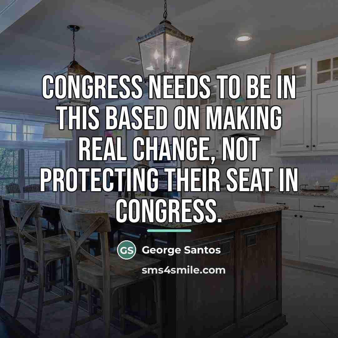 “Congress needs to be in this based on making real…” quote by George Santos