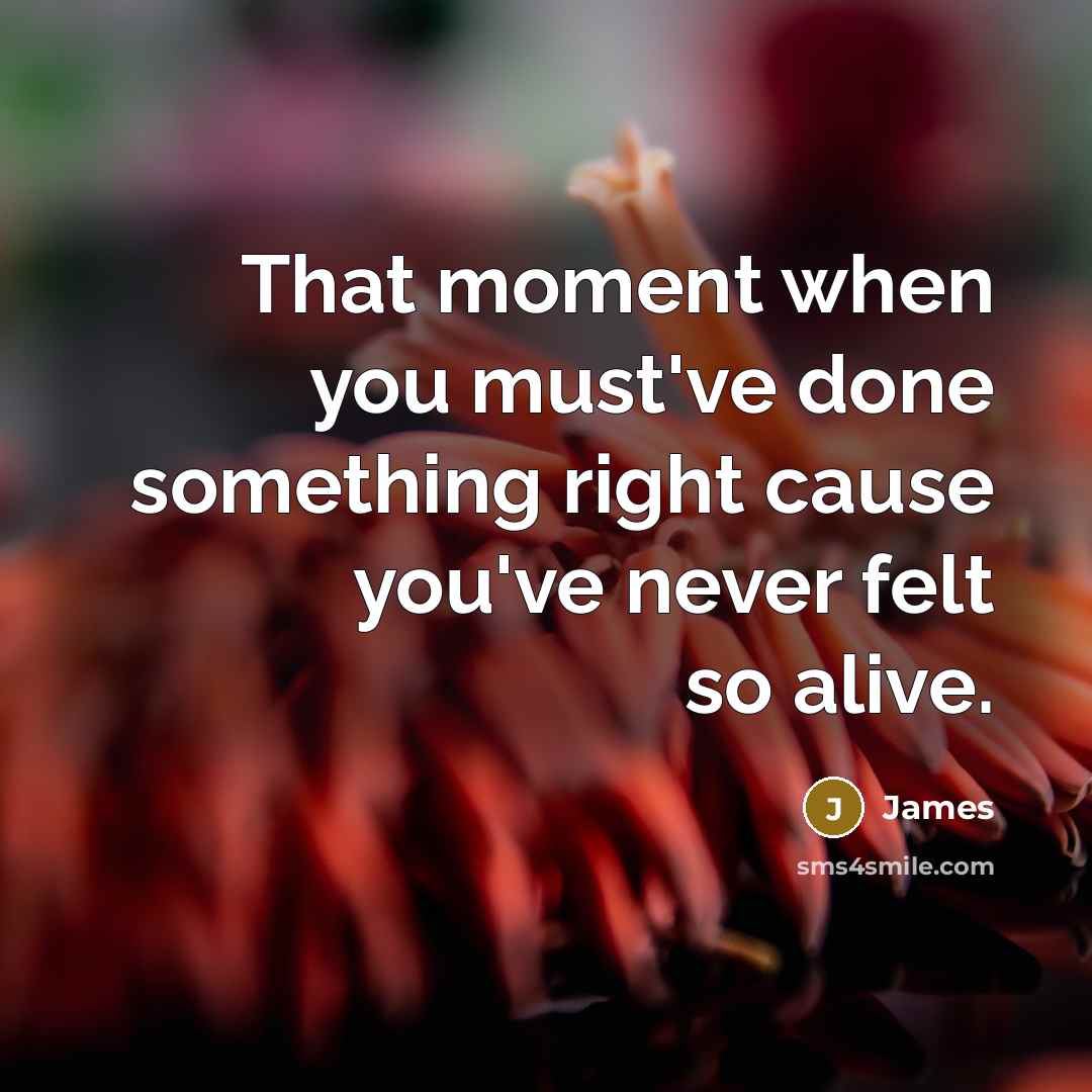 “That moment when you must've done something right cause you've never felt so alive.” quote by James