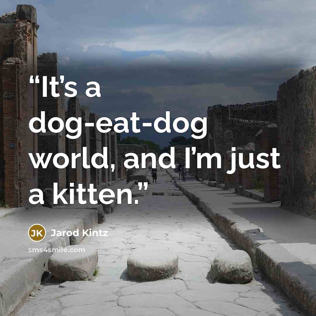 “It’s a dog-eat-dog world, and I’m just a kitten.” quote by Jarod Kintz