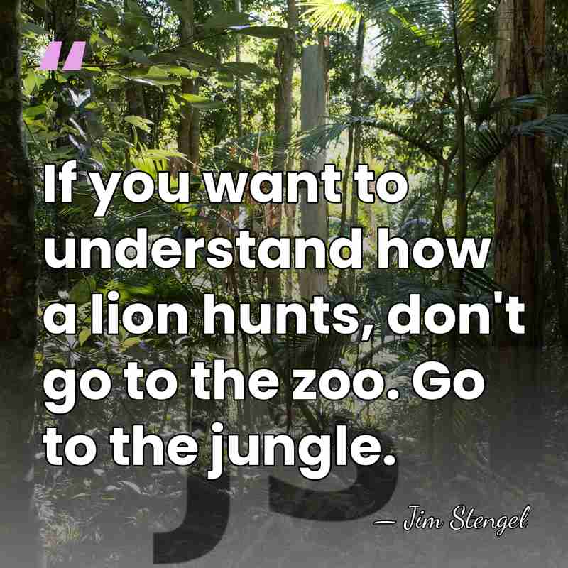 If you want to understand how a lion hunts, don't go to&hellip; - Jim Stengel