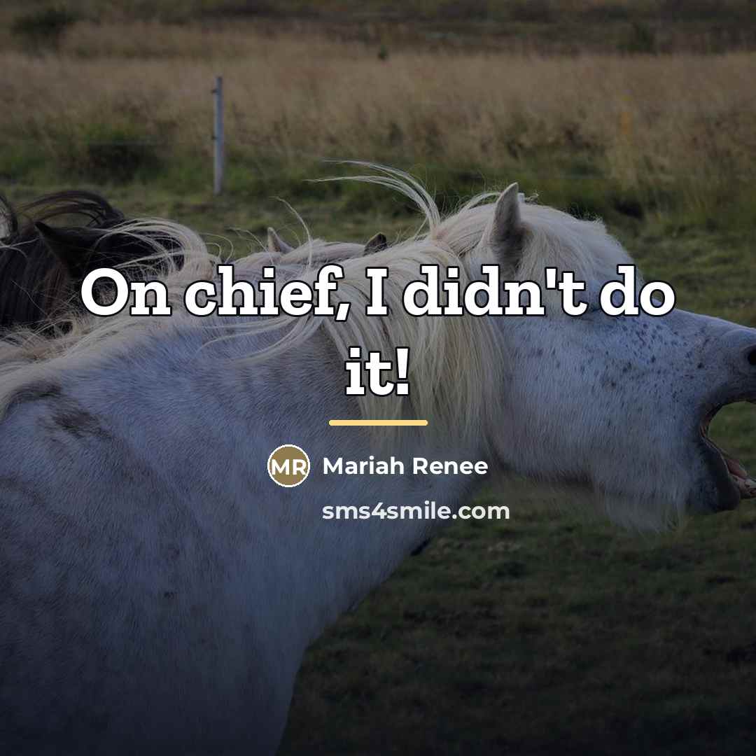 “On chief, I didn't do it!…” quote by Anonymous