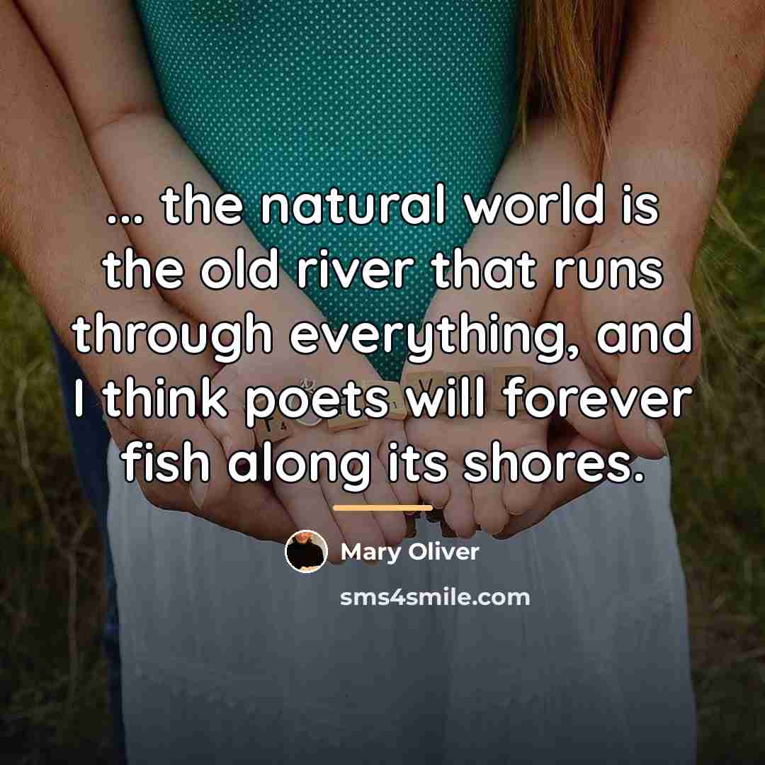 “... the natural world is the old river that runs…” quote by Mary Oliver