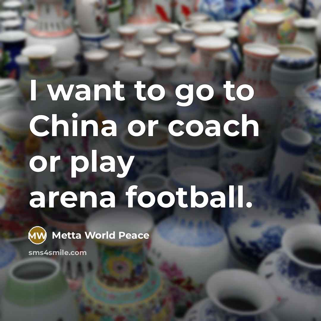 “I want to go to China or coach or play…” quote by Metta World Peace