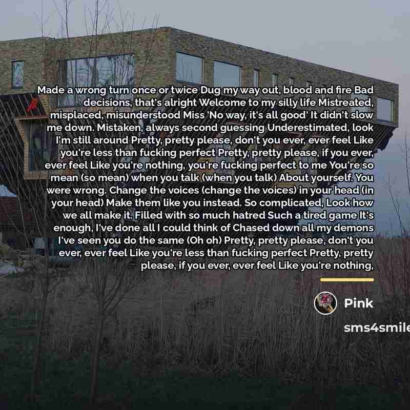 “Made a wrong turn once or twice Dug my way…” quote by Pink