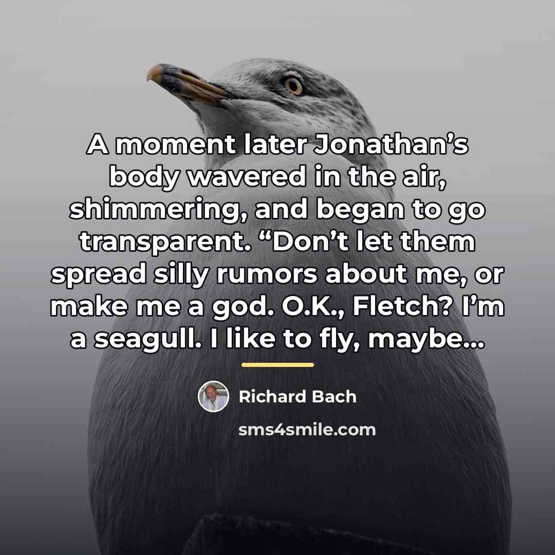 “A moment later Jonathan’s body wavered in the air, shimmering,…” quote by Richard Bach