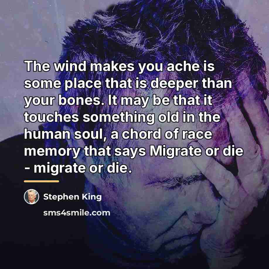 “The wind makes you ache is some place that is…” quote by Stephen King