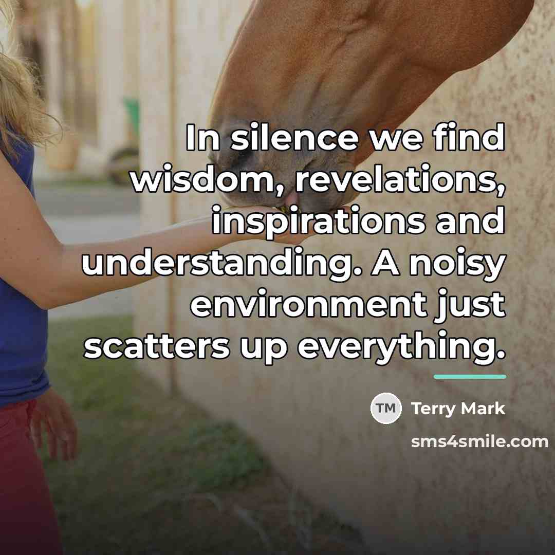 “In silence we find wisdom, revelations, inspirations and understanding. A…” quote by Terry Mark