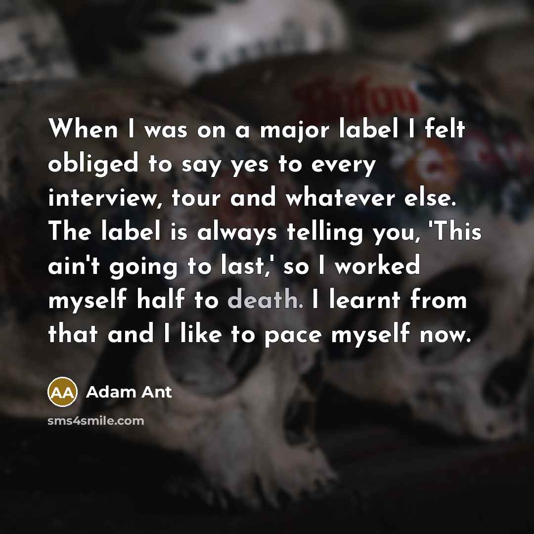 “When I was on a major label I felt obliged…” quote by Adam Ant